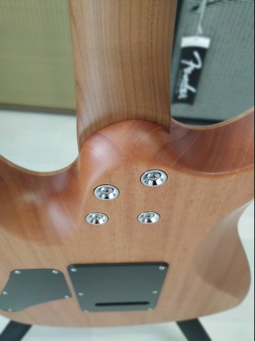 Suhr Modern Limited Edition Satin Flame Natural Chitarra Elettrica
