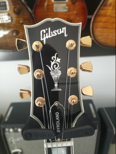 Byrdland