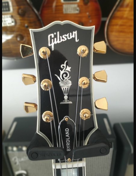 Byrdland