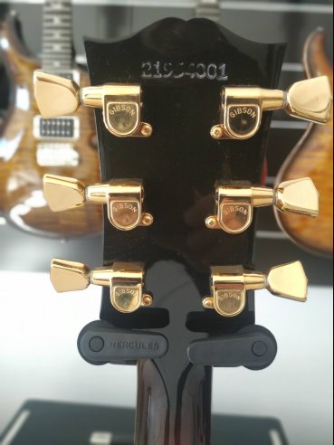 Byrdland