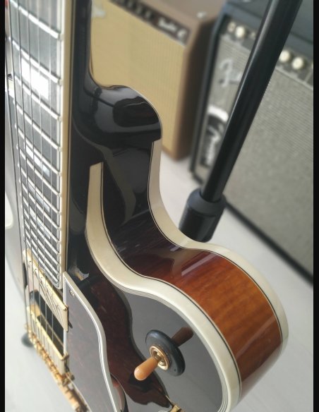 Byrdland