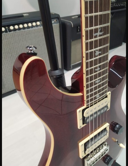 PRS SE Standard STD24 Birds Vintage Cherry