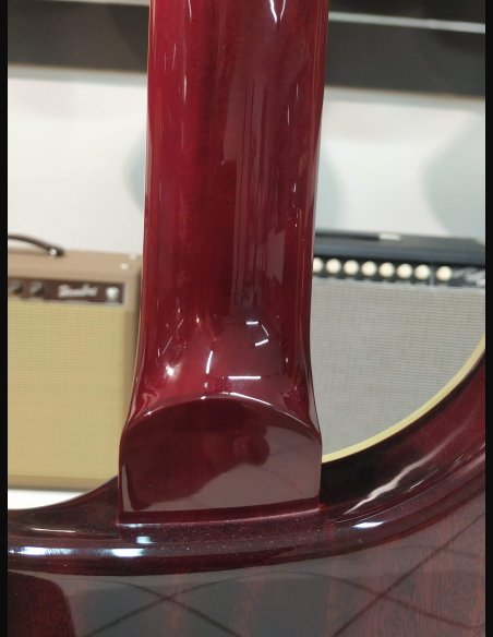 PRS SE Standard STD24 Birds Vintage Cherry