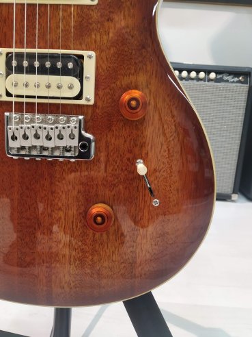 PRS SE Standard STD24 Birds Tobacco Sunburst