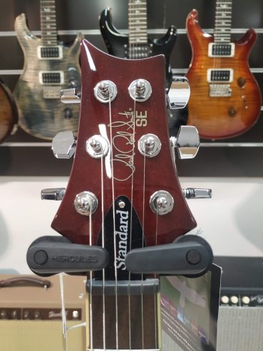 PRS SE Standard STD24 Birds Tobacco Sunburst