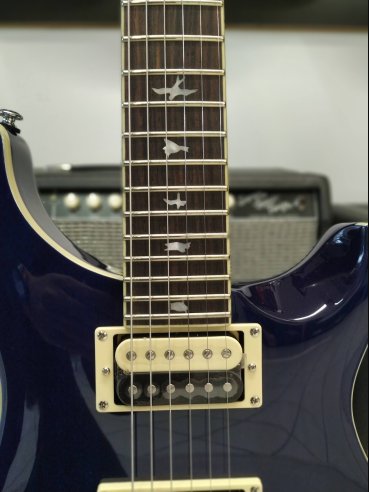 PRS SE Standard STD24 Birds Translucent Blue