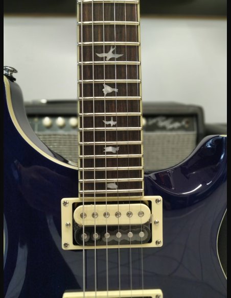 PRS SE Standard STD24 Birds Translucent Blue