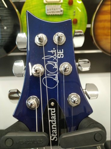 PRS SE Standard STD24 Birds Translucent Blue