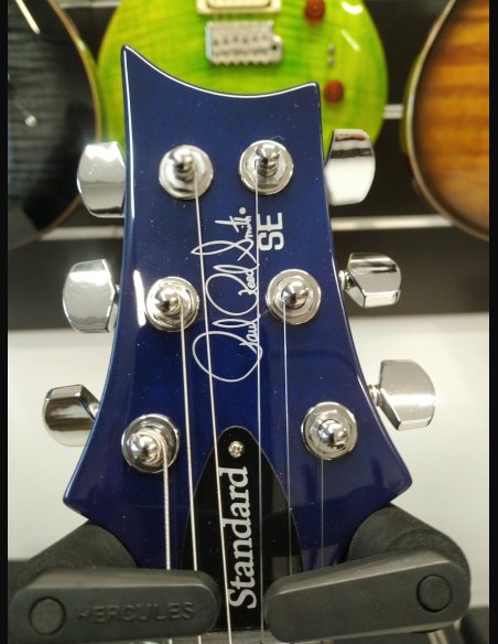 PRS SE Standard STD24 Birds Translucent Blue