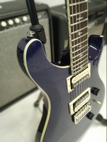 PRS SE Standard STD24 Birds Translucent Blue
