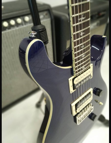 PRS SE Standard STD24 Birds Translucent Blue