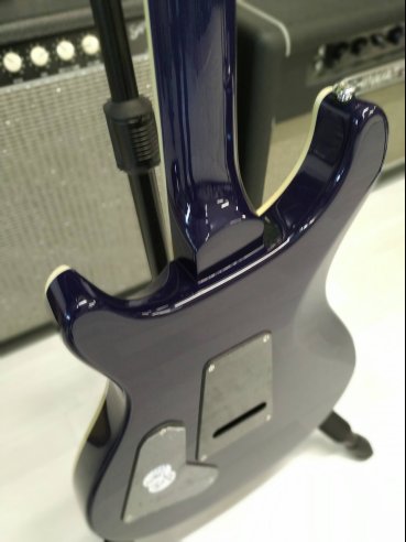 PRS SE Standard STD24 Birds Translucent Blue