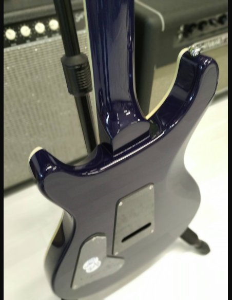 PRS SE Standard STD24 Birds Translucent Blue