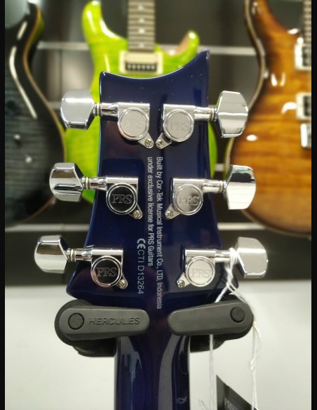 PRS SE Standard STD24 Birds Translucent Blue