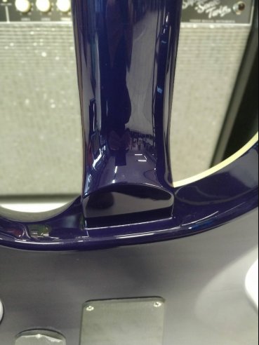 PRS SE Standard STD24 Birds Translucent Blue