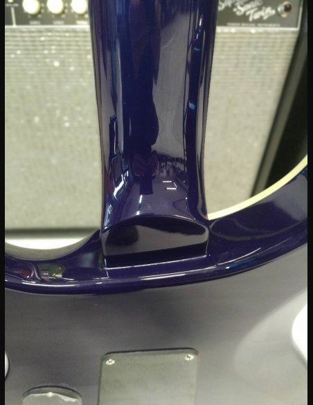 PRS SE Standard STD24 Birds Translucent Blue