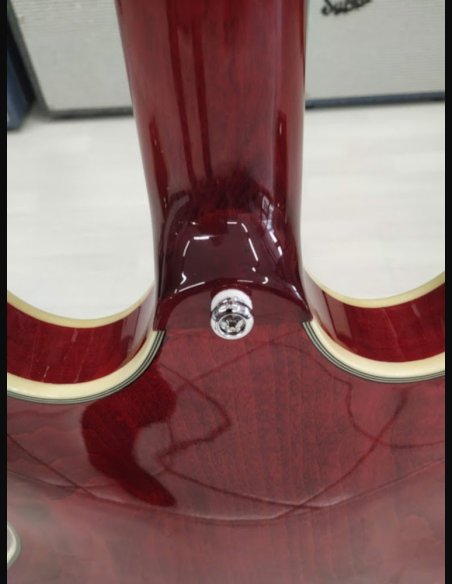 Sire H7 STR Larry Carlton See Though Red