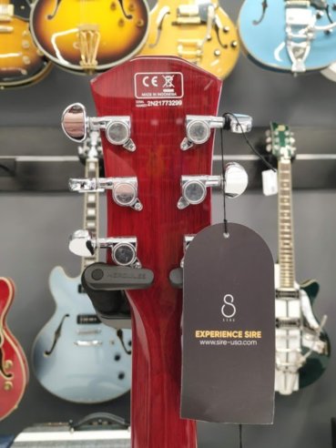 Sire H7 STR Larry Carlton See Though Red