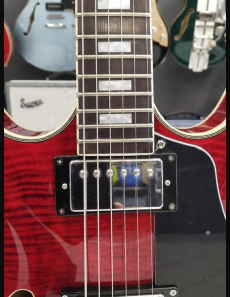 Sire H7 STR Larry Carlton See Though Red