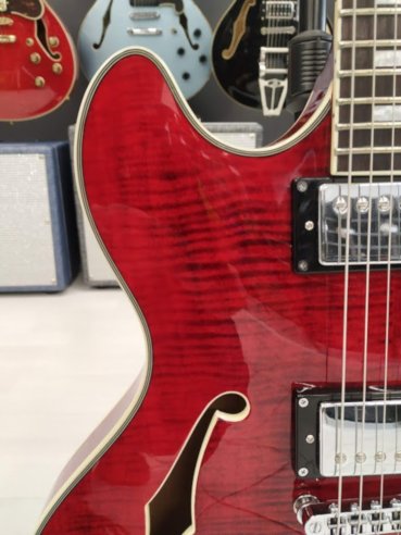Sire H7 STR Larry Carlton See Though Red