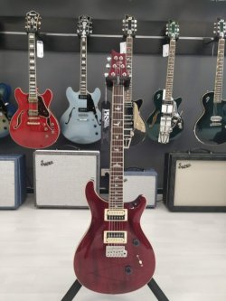 PRS SE Standard STD24 Birds Vintage Cherry 2