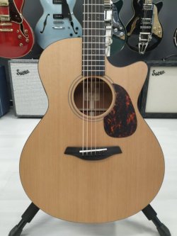 Furch GC CM Spe Master's Choice 2