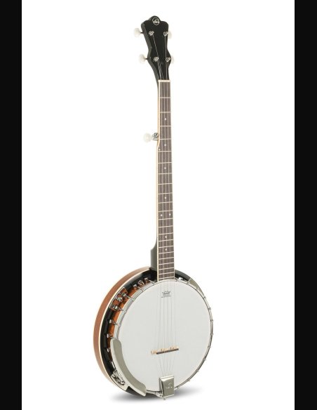 VGS Banjo Tennessee 5C w/Case