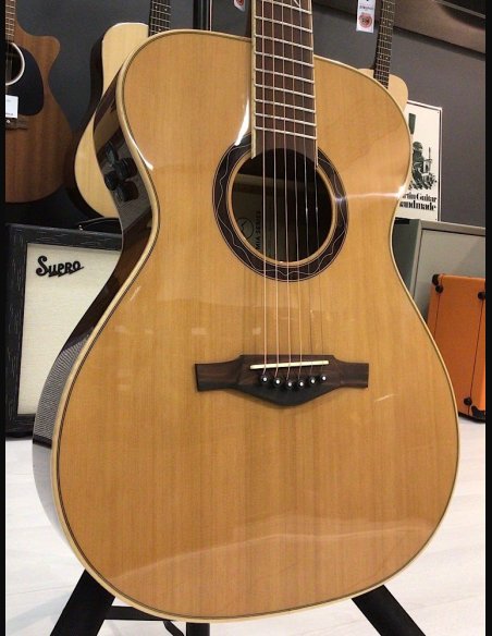 Eko MIA A400E Chitarra Folk Elettrificata