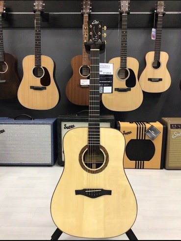 Eko Wow D800E Sr Spruce/Rosewood