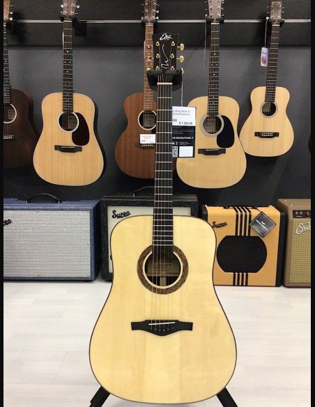 Eko Wow D800E Sr Spruce/Rosewood