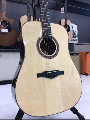 Eko Wow D800E Sr Spruce/Rosewood