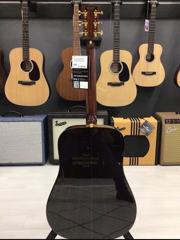 Eko Wow D800E Sr Spruce/Rosewood