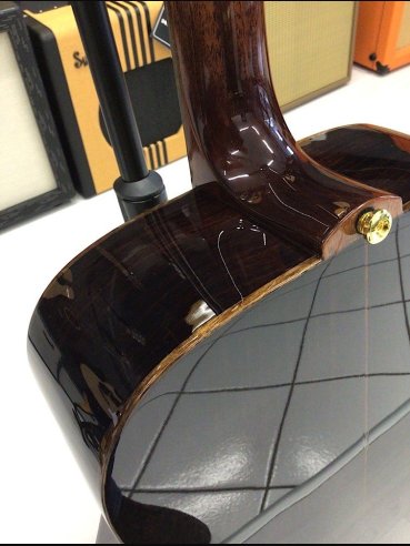 Eko Wow D800E Sr Spruce/Rosewood