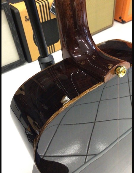 Eko Wow D800E Sr Spruce/Rosewood