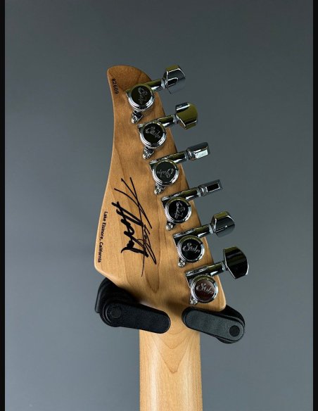 Suhr Andy Wood Modern T HH AW SI Chitarra Elettrica