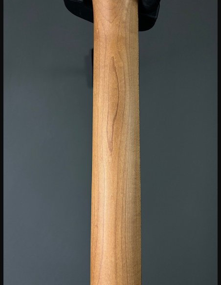 Reverend Charger 290 RW Malp