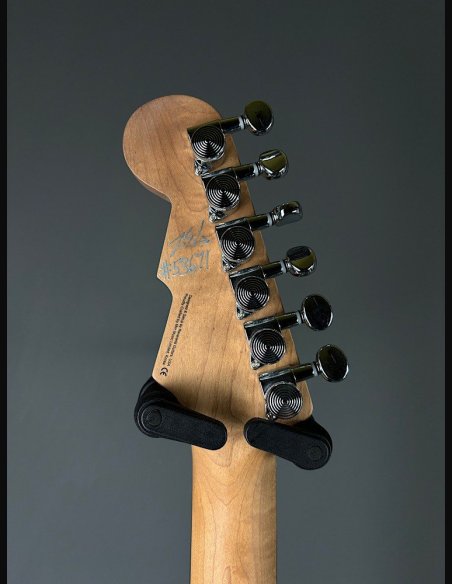 Reverend Charger 290 RW Malp