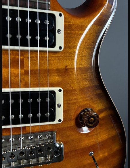 PRS Custom 24 Quilt Birds TR5 Tobacco Burst