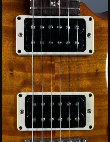 PRS Custom 24 Quilt Birds TR5 Tobacco Burst