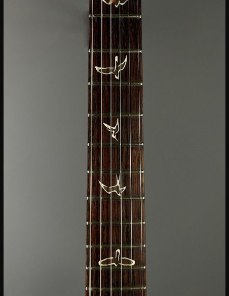 PRS Custom 24 Quilt Birds TR5 Tobacco Burst