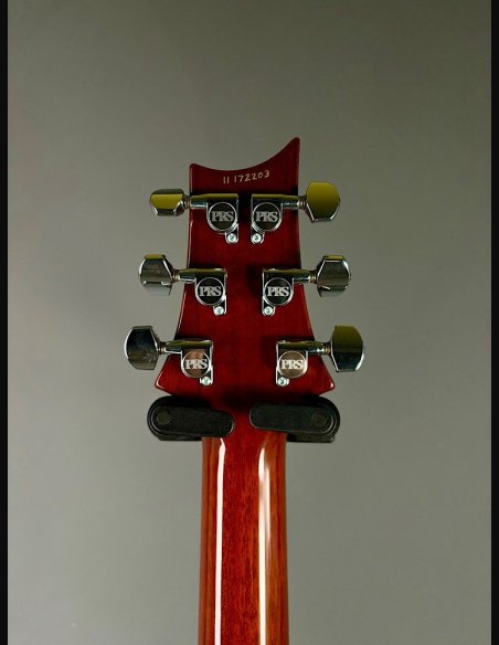 PRS Custom 24 Quilt Birds TR5 Tobacco Burst