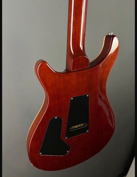 PRS Custom 24 Quilt Birds TR5 Tobacco Burst