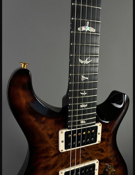 PRS Custom 24 10 Top ZW Wood Library Map Neck
