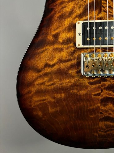PRS Custom 24 10 Top ZW Wood Library Map Neck