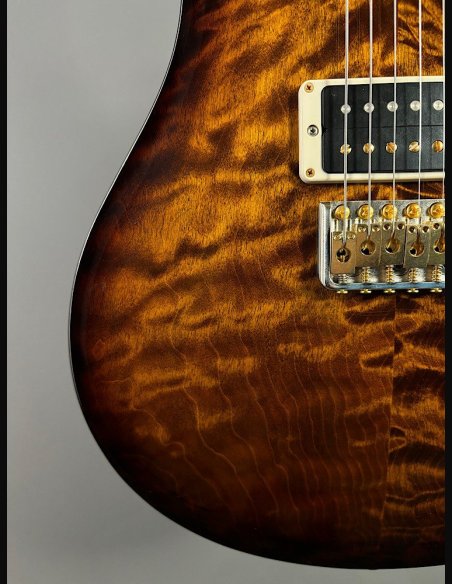 PRS Custom 24 10 Top ZW Wood Library Map Neck