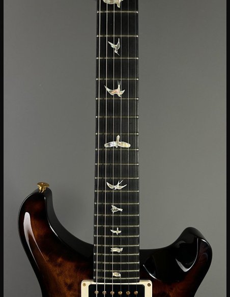 PRS Custom 24 10 Top ZW Wood Library Map Neck