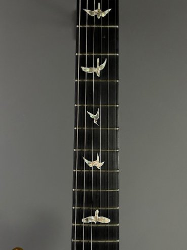 PRS Custom 24 10 Top ZW Wood Library Map Neck