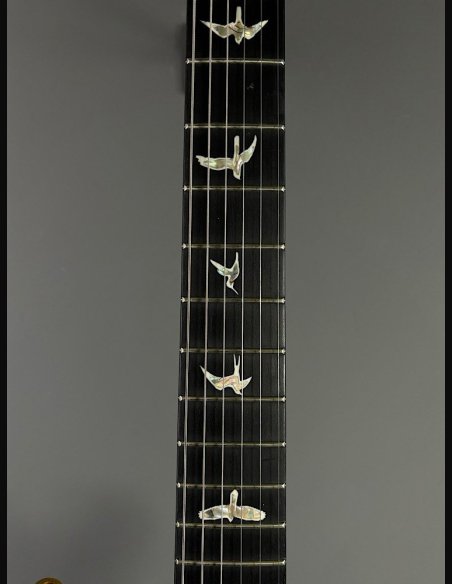 PRS Custom 24 10 Top ZW Wood Library Map Neck