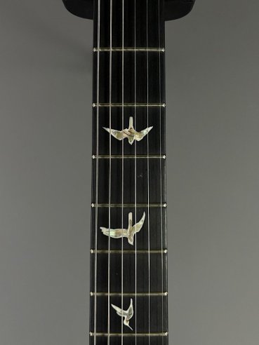 PRS Custom 24 10 Top ZW Wood Library Map Neck