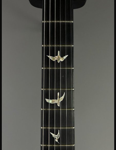 PRS Custom 24 10 Top ZW Wood Library Map Neck